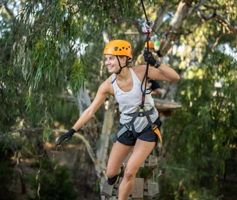 TreeClimb Adelaide: Thrilling Climb For Adventurers - What to Expect During Your Climb