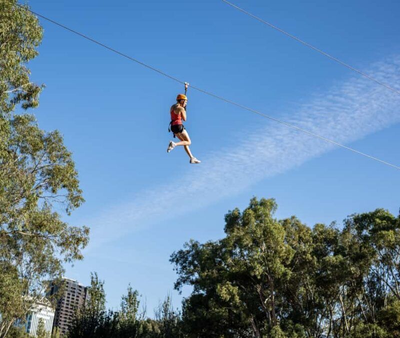 TreeClimb Adelaide: Thrilling Climb For Adventurers - Who Should Consider This Experience?
