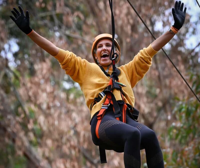 TreeClimb Kuitpo Forest: Exciting Treetop Climbing Adventure - Final Thoughts