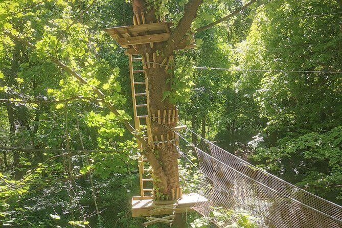 Treetop adventure course in the heart of Poissy - Key Points