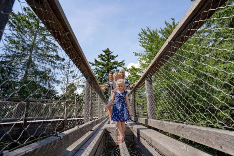 Treetop Walk Bavarian Forest: Discover the world of treetops - Key Points