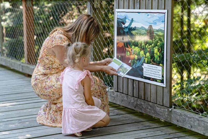 Treetop Walk Bavarian Forest: Discover the world of treetops - Why This Experience Works for Different Travelers