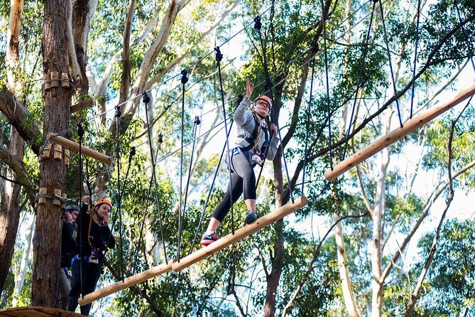 Treetops Adventure Coffs Harbour Tree Ropes Course - An Adventure in the Canopy: What to Expect