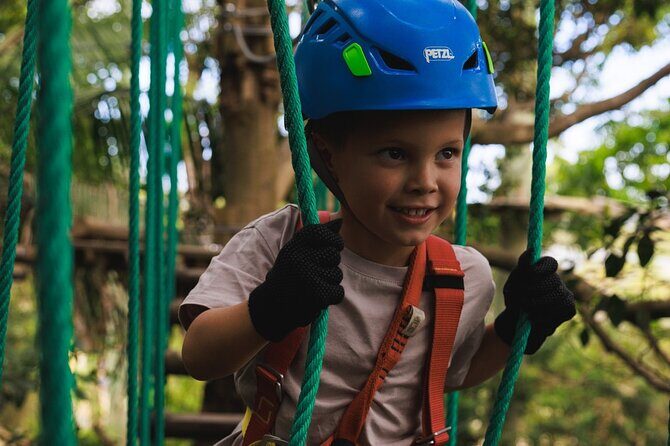 Treetops Adventure The Hills Junior Ropes Course - The Fun and Safety Balance
