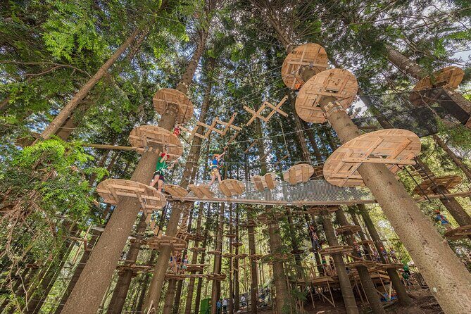 Treetops Adventure The Hills - Tree Ropes Course - Detailed Review of What to Expect at Treetops Adventure The Hills