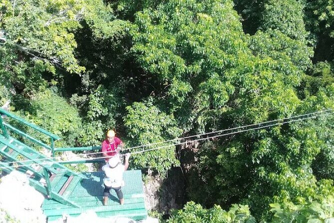 Treetops Fiji Zipline Tour with Drop off Transfer to Nadi Airport - Who Will Love This Tour?