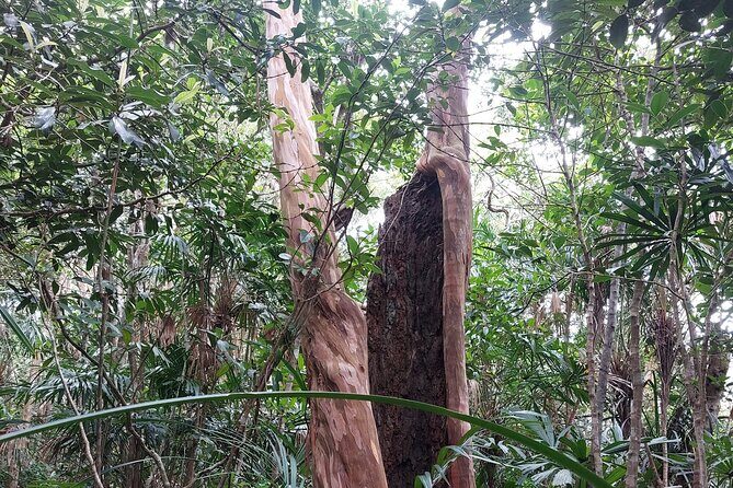 Trek Nui Chua Experience 2D1N, Night in the Jungle - Vinh Hy Bay - Key Points