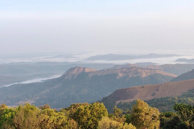 Trek the Kodachadri Summit - An In-Depth Look at the Kodachadri Trek Experience