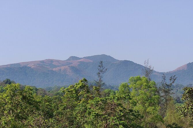Trek the Kodachadri Summit - The Sum Up