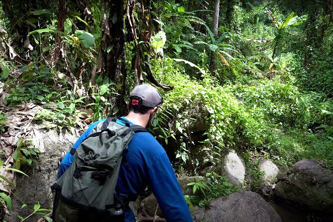 Trek to a Jungle Waterfall - An Overview of the Trek to Chiang Mai’s Waterfall