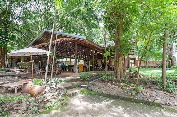 Trek to a Jungle Waterfall - The Value and Practicalities