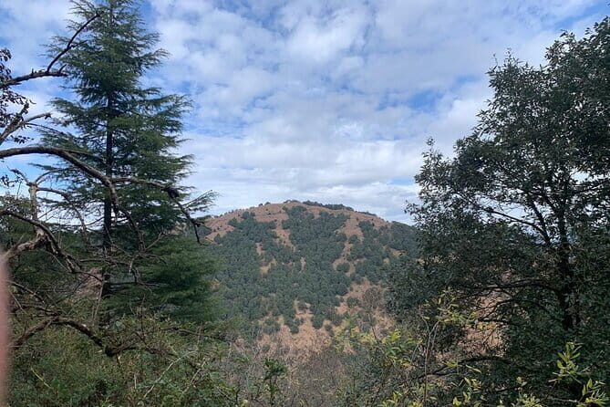 Trek to Benog Tibba - The Sum Up