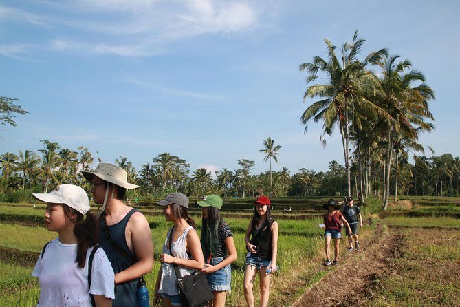Trekking and Sightseeing tour with lunch - Key Points