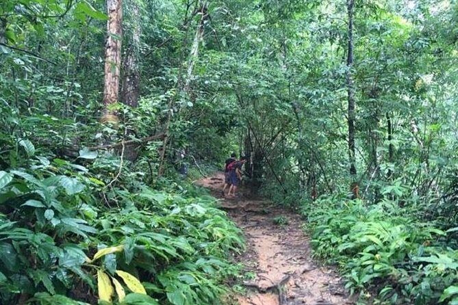 Trekking at the Monk Trail and Doi Suthep Temple Private Tour - The Value Proposition