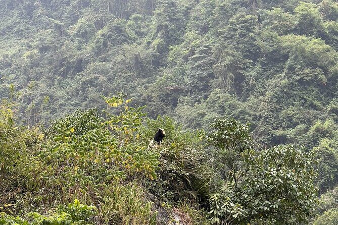 Trekking Ban Gioc Waterfall to Hidden Village on Unique Route - Day Two: Waterfalls and Scenic Views