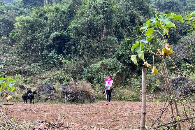 Trekking Ban Gioc Waterfall to Hidden Village on Unique Route - FAQ