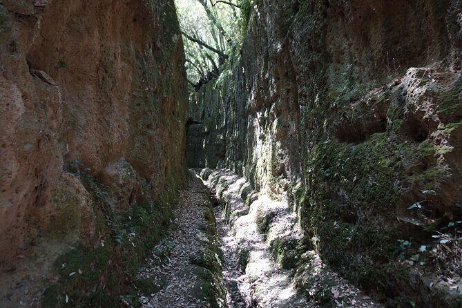 Trekking Excursion History and Nature Necropolis of Norchia from Rome - Final Thoughts