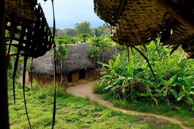 Trekking in Illukpelessa Village from Ella - A Deep Dive Into the Trekking Experience