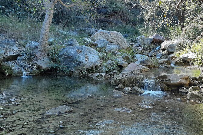 Trekking in Kumbhalgarh - Who Should Consider This Trek?