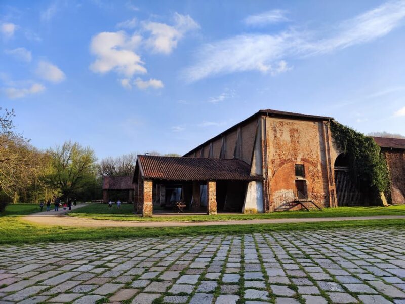 Trekking in the Wood with picnic on the turtles lake - Practical Details: What to Expect and How to Prepare