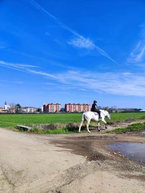 Trekking in the Wood with picnic on the turtles lake - What We Found Most Enjoyable