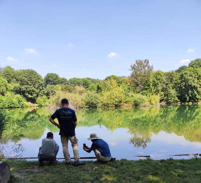 Trekking in the Wood with picnic on the turtles lake - The Sum Up: Why You Should Consider This Experience
