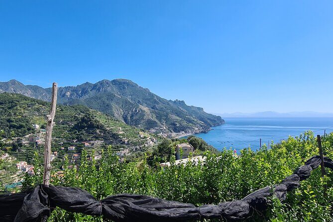 Trekking of the Amalfi Coast - 4 Days / 3 Nights - A Detailed Look at the Amalfi Coast Trekking Tour