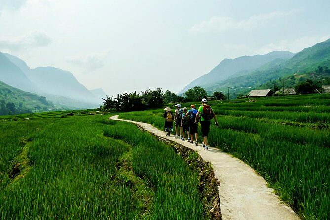 Trekking Through Rice Terraced Fields - 1Day - An In-Depth Look at the Sapa Rice Field Trek