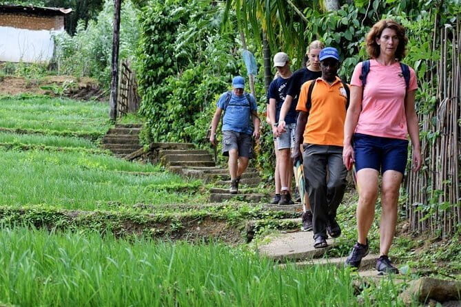 Trekking to Heeloya village from Kandy - An In-Depth Look at the Heeloya Village Trek