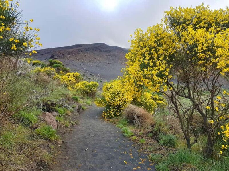 Trekking to the craters of Stromboli at sunset - Final Thoughts: Who Will Love This Tour?