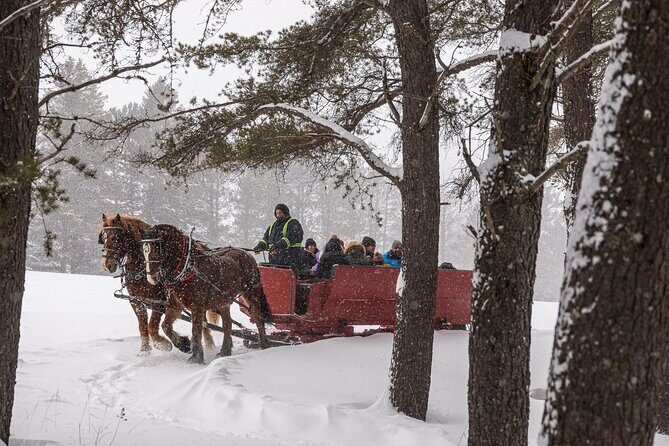 Tremblant Sleighride - Wrapping It Up: Is the Tremblant Sleighride Worth It?