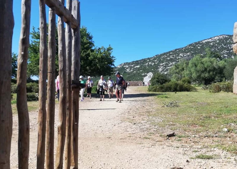 Trenino Supramonte: Guided tour of Golgo plateau - Who Will Love This Tour?