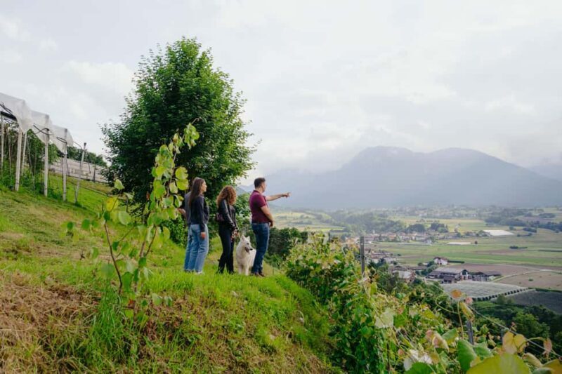 Trentino Agriconda: AgriBreak: an authentic snack surrounded by nature - Introduction