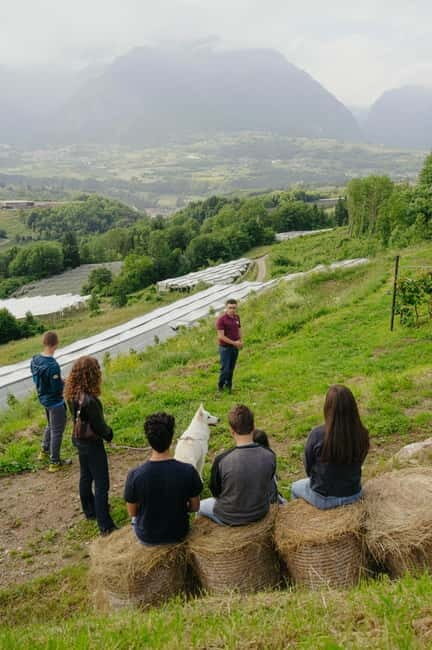Trentino Agriconda: frutTIAMO...Explore, Learn, Taste Small Fruits - Key Points