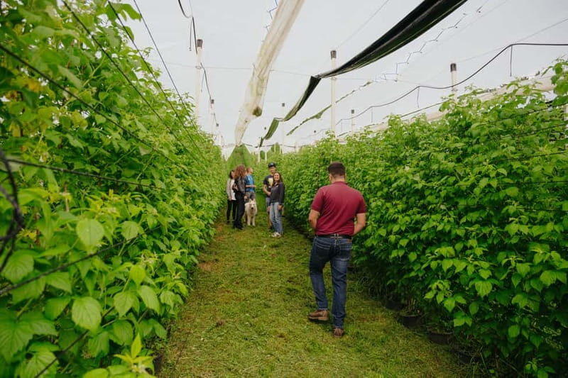 Trentino Agriconda: frutTIAMO...Explore, Learn, Taste Small Fruits - Final Thoughts