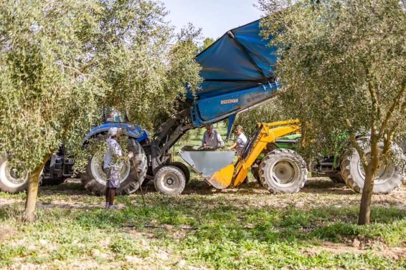 Treurer: Mediterranean barbecue Night - Key Points