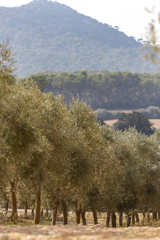 Treurer: Mediterranean barbecue Night - Frequently Asked Questions (FAQs)