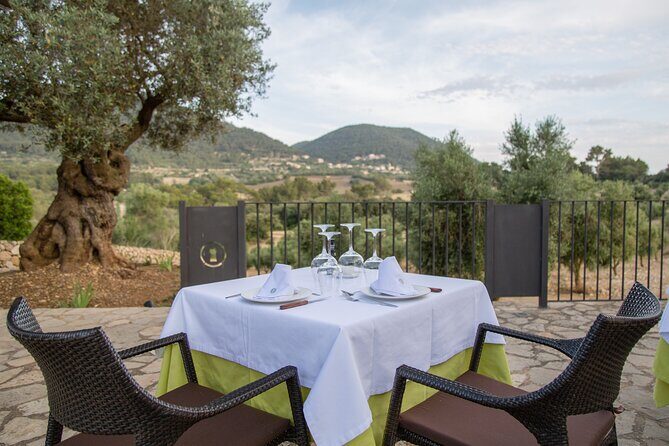Treurer Mediterranean Barbecue Night - Who Will Love This Tour?