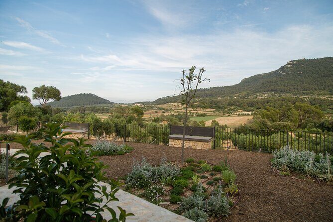 Treurer Mediterranean Barbecue Night - FAQ