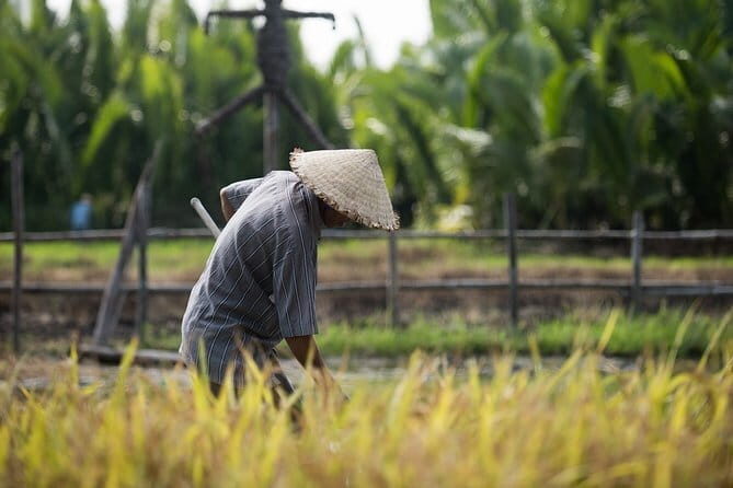 Tributaries and Rice: My Tho meets the Mekong - Starting Point: Ho Chi Minh City to My Tho