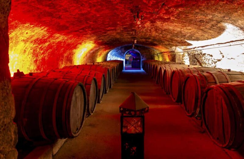 Trier: Mosel wine meets history  wine tour with cellar visit - Trier: Mosel wine meets history wine tour with cellar visit