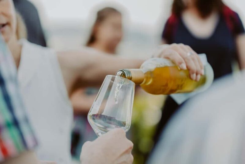 Trier: Mosel wine meets history  wine tour with cellar visit - Key Points