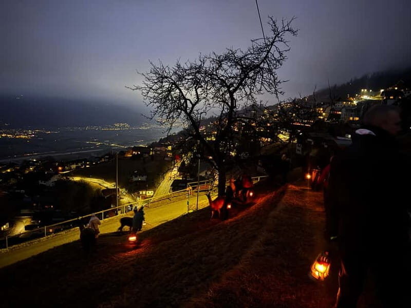 Triesenberg: Private hike with our llamas - An Authentic Mountain Escape in Liechtenstein