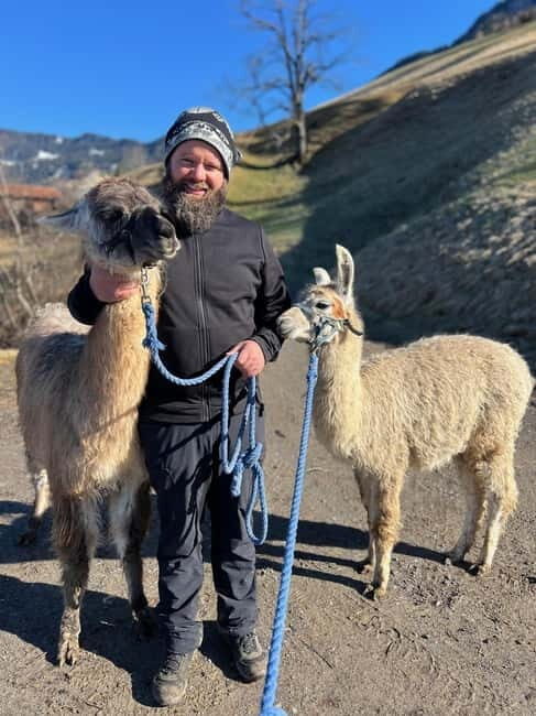 Triesenberg: Walk with Llamas in the Mountains - Key Points
