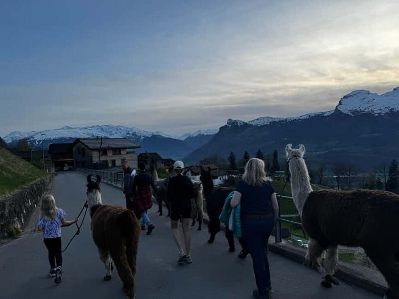 Triesenberg: Walk with Llamas in the Mountains - FAQs