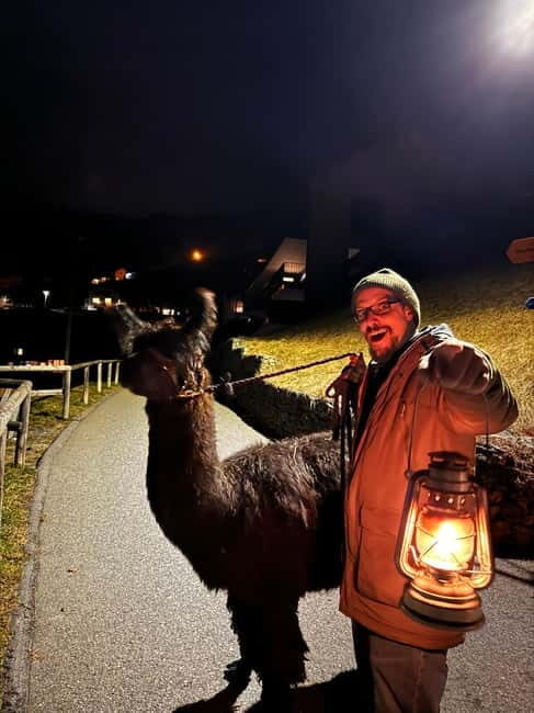 Triesenberg: Walking Tour with Llamas and Cheese Raclette - Who Should Consider This Tour?