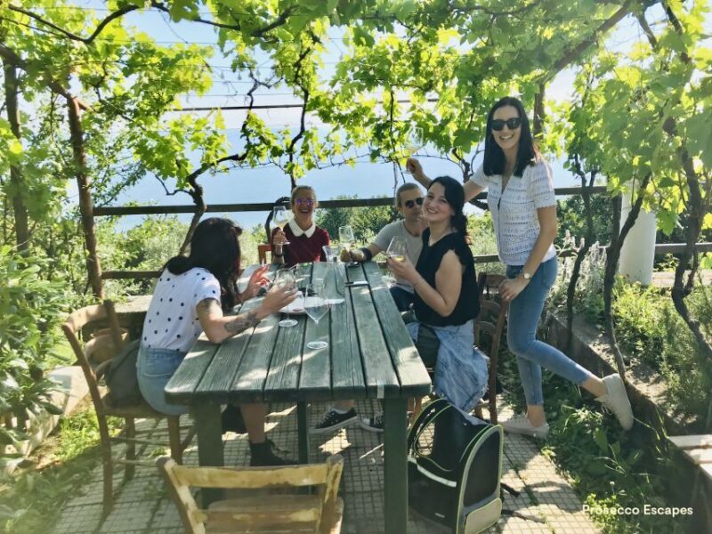 Trieste: 2.5-Hour Prosecco Origins Tour and Tastings - Final Thoughts