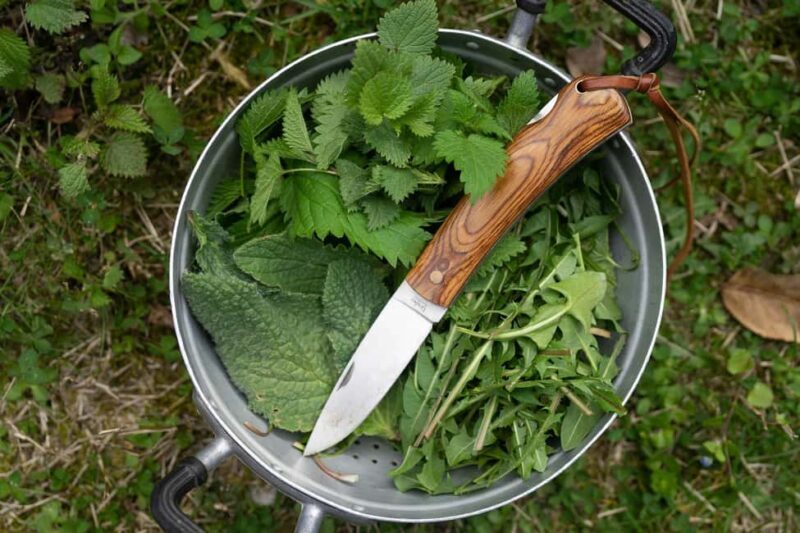 Trieste: a dive into local cuisine from field to table - A Closer Look at the Experience