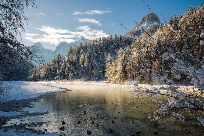 Triglav National Park and the Alps Private tour - An In-Depth Look at the Tour Experience