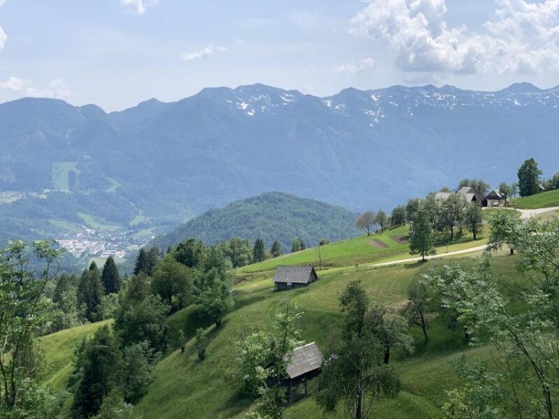 Triglav National Park Tour from Bled - Analyzing the Value